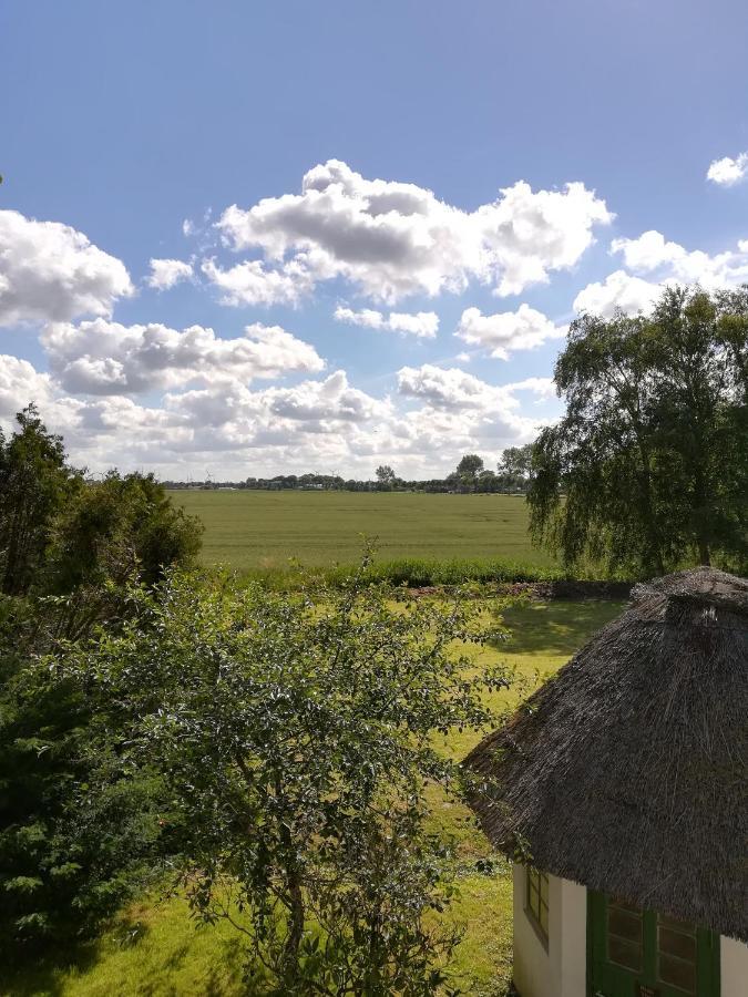 Villa Am Deich Westerdeichstrich ภายนอก รูปภาพ